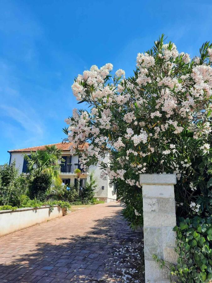 Palm House * Rovinj