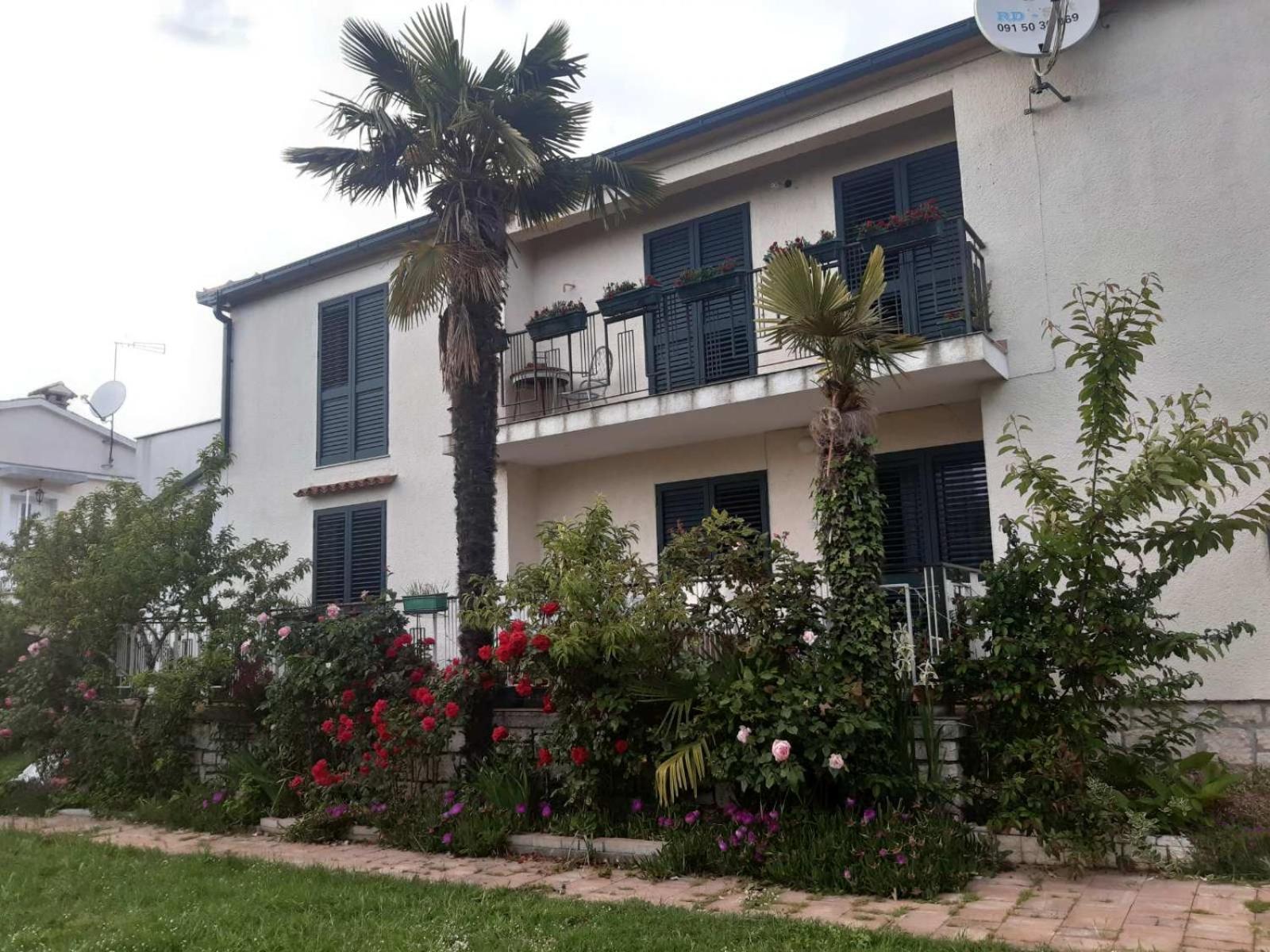 Apartament Palm House Rovinj
