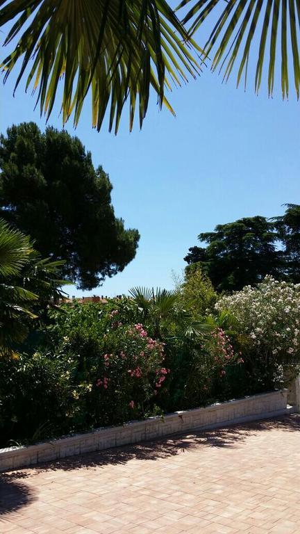 Apartament Palm House