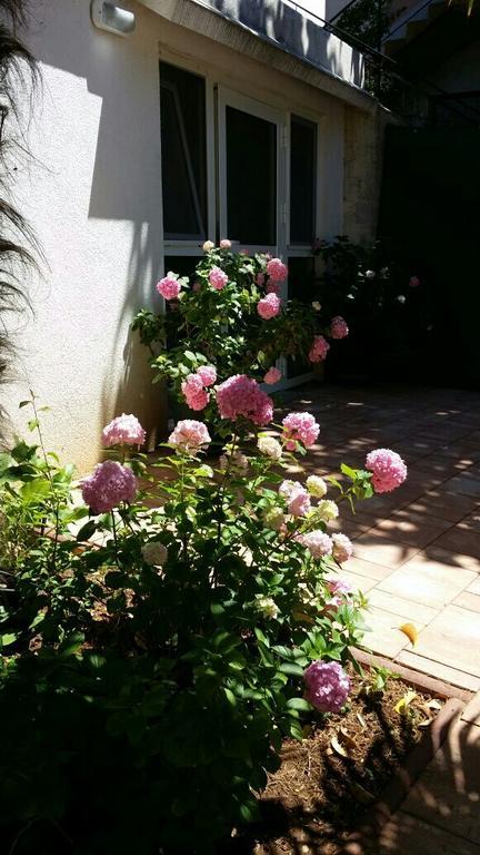 Apartman Palm House Rovinj